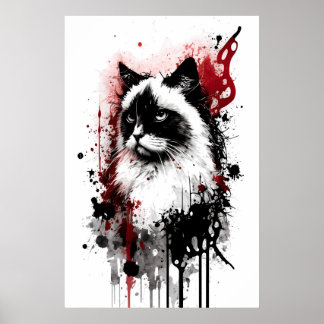 Ragdoll Cat Porträtt Poster