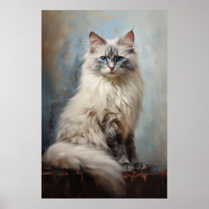 Ragdoll cat porträtt poster
