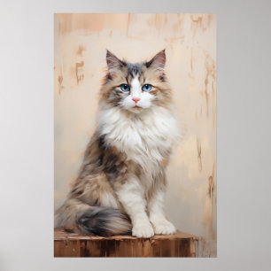 Ragdoll cat porträtt poster