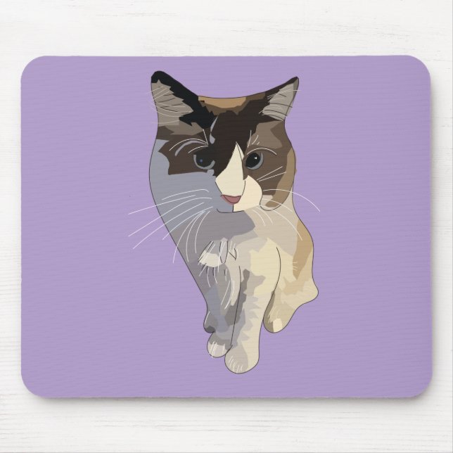 Ragdoll cat, Purple Musmatta (Framsidan)