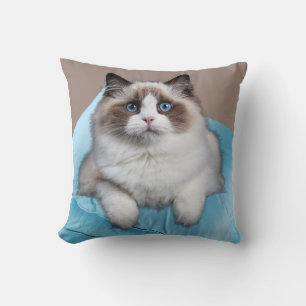 Ragdoll Cat Square Dekorativ kudde