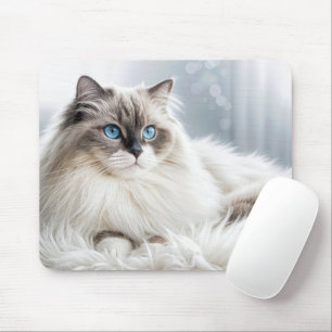 Ragdoll Cat vid Päls Matta Musmatta
