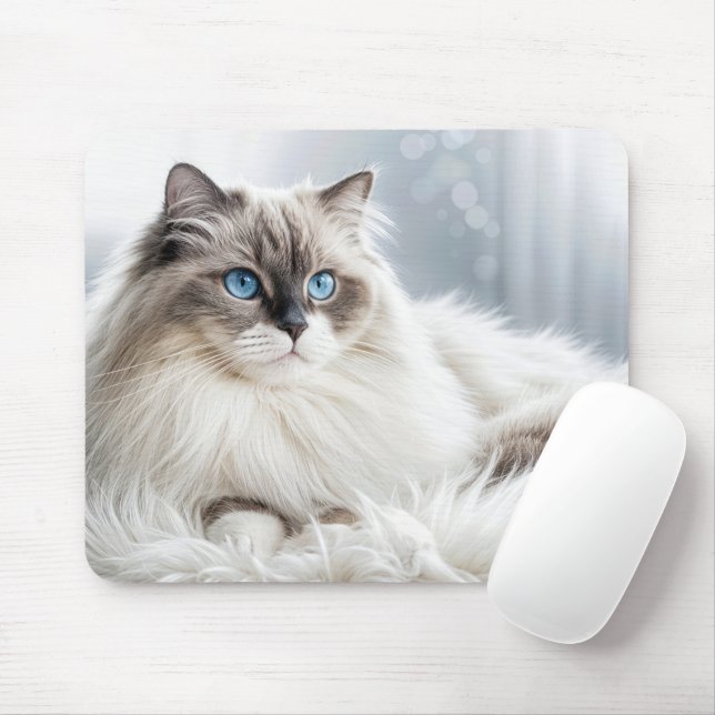 Ragdoll Cat vid Päls Matta Musmatta (Med mus)