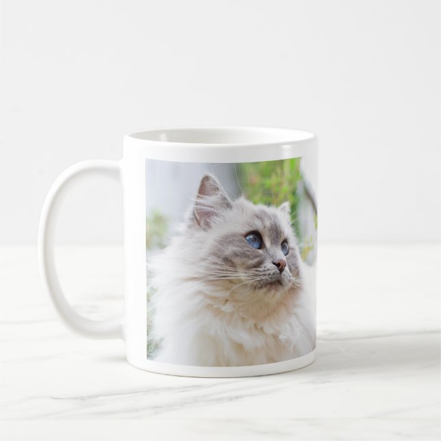 Ragdoll gullig kattmugg kaffemugg (Vänster)