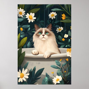 Ragdoll i badkar Affisch, Rolig katt affisch