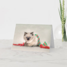 Ragdoll-julkort Helgkort