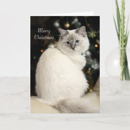 Ragdoll julkort helgkort