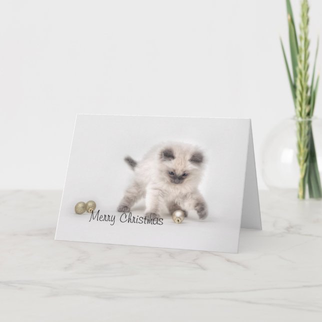 Ragdoll-julkort Helgkort (Framsida)