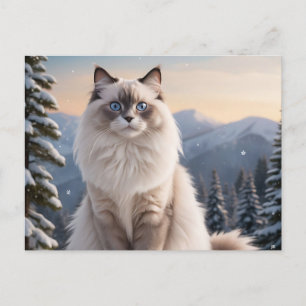Ragdoll Kat på Snowy Mountain med Serene Winter Vykort