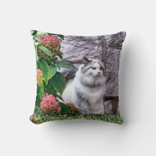Ragdoll Katt Av Hydrangea Kudde
