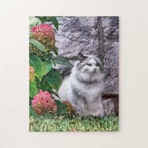 Ragdoll, katt av Hydrangea Pussel