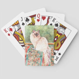 "Ragdoll" katt Casinokort