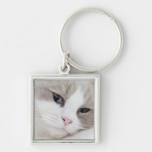 Ragdoll katt fyrkantig silverfärgad nyckelring