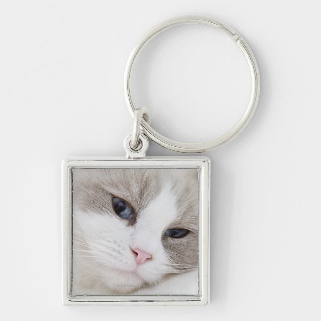 Ragdoll katt fyrkantig silverfärgad nyckelring (Framsidan)