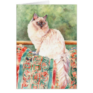 "Ragdoll" katt Hälsningskort
