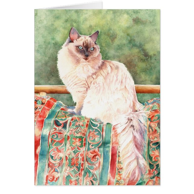 "Ragdoll" katt Hälsningskort (Framsidan)
