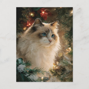 Ragdoll Katt Jul Vykort