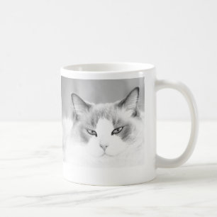 Ragdoll katt kaffemugg