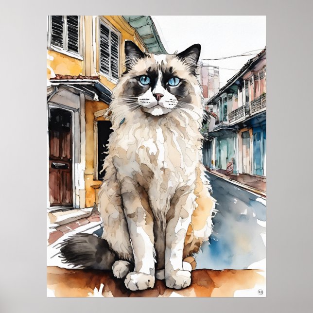 Ragdoll-katt - Kassettutskrift Poster (Framsidan)