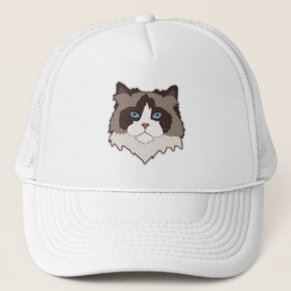Ragdoll Katt Keps