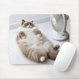 Ragdoll Katt Kyls Av Med En Fläkt Musmatta