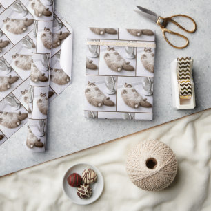 Ragdoll Katt Kyls Av Med En Fläkt Presentpapper