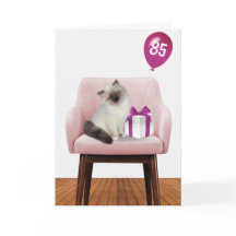 Ragdoll-katt med 85:e födelsedagsballongen