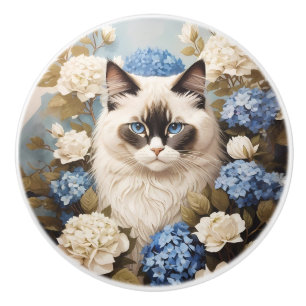 Ragdoll Katt Med Blå Hydrangea Blommor Knopp