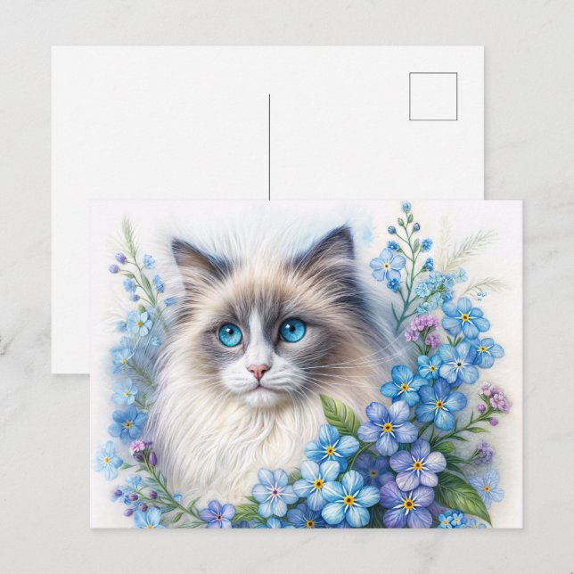 Ragdoll Katt Med Förgätmigejer Vykort (Fram/baksida)