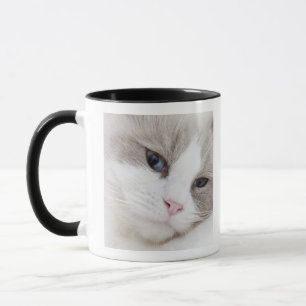 Ragdoll katt mugg