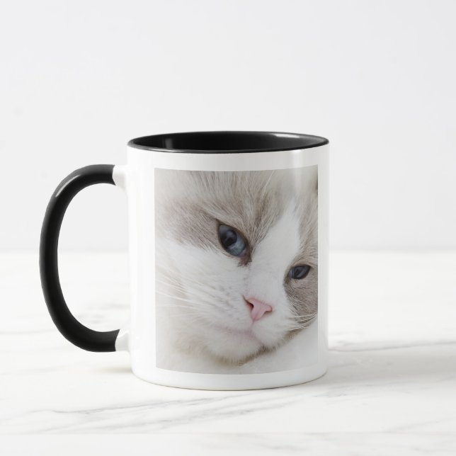 Ragdoll katt mugg (Vänster)