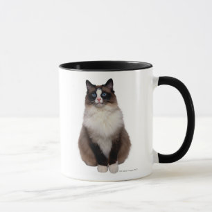 Ragdoll katt mugg