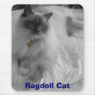 Ragdoll katt musmatta