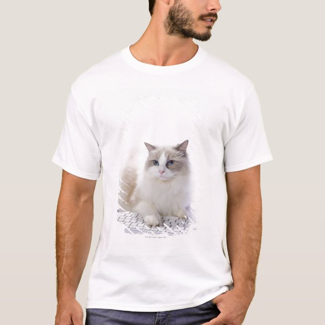 Ragdoll katt på datortangentbord t shirt (Framsida)