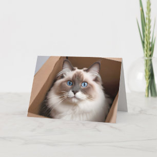 Ragdoll-katt på födelsedagen i kartong kort