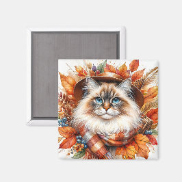 Ragdoll-katt på hösten med scarf magnet