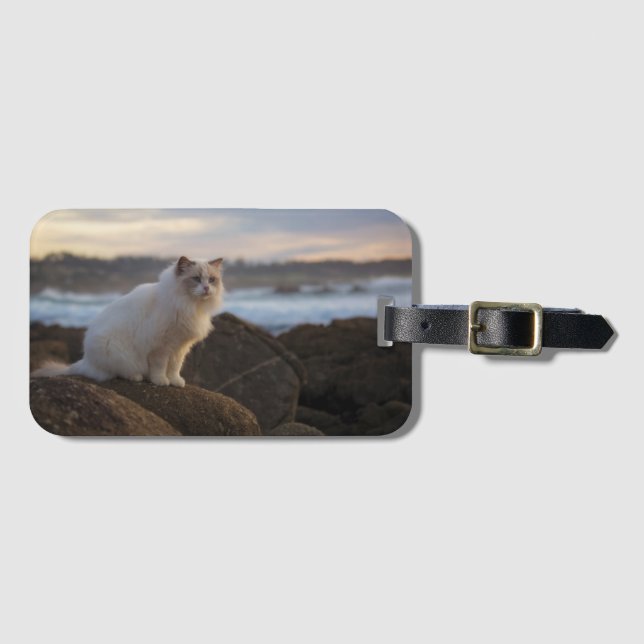 Ragdoll katt på stranden bagagebricka (Framsida horisontal)