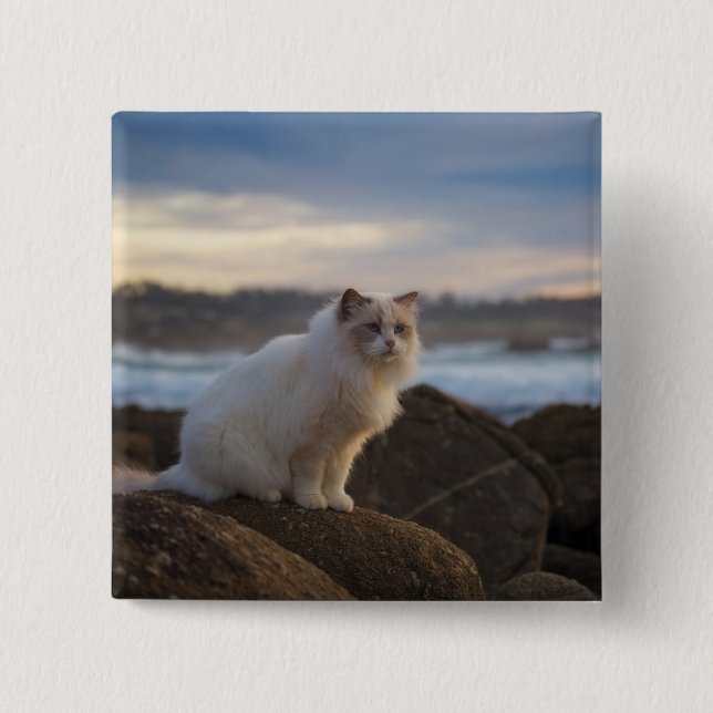 Ragdoll katt på stranden knapp (Framsida)
