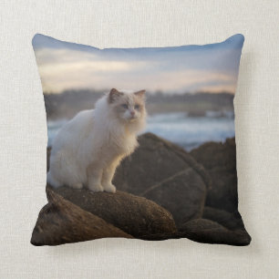 Ragdoll katt på stranden kudde