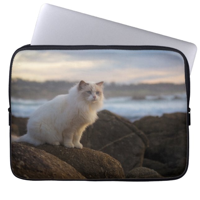 Ragdoll katt på stranden laptop fodral (Framsidan)