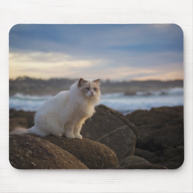 Ragdoll katt på stranden musmatta (Framsidan)