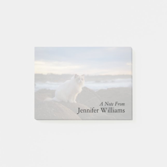 Ragdoll katt på stranden post-it block (Framsida)