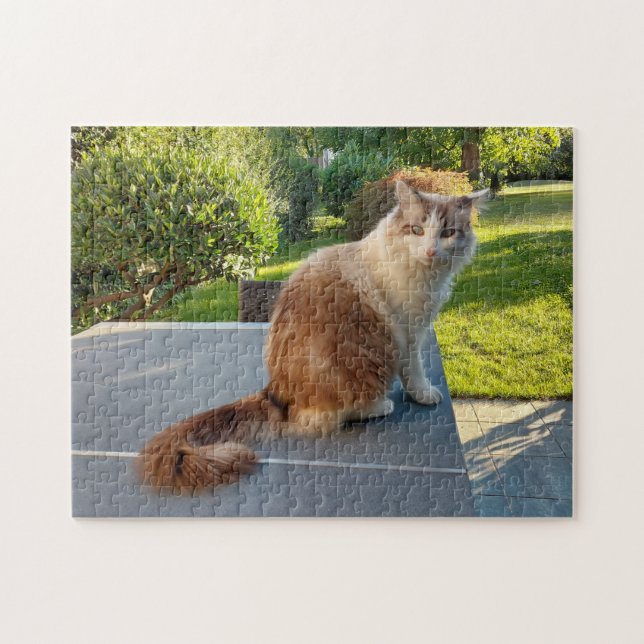 ragdoll katt pussel (Horisontell)