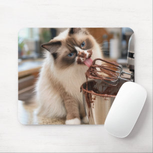 Ragdoll Katt slickar Mixer visp Musmatta