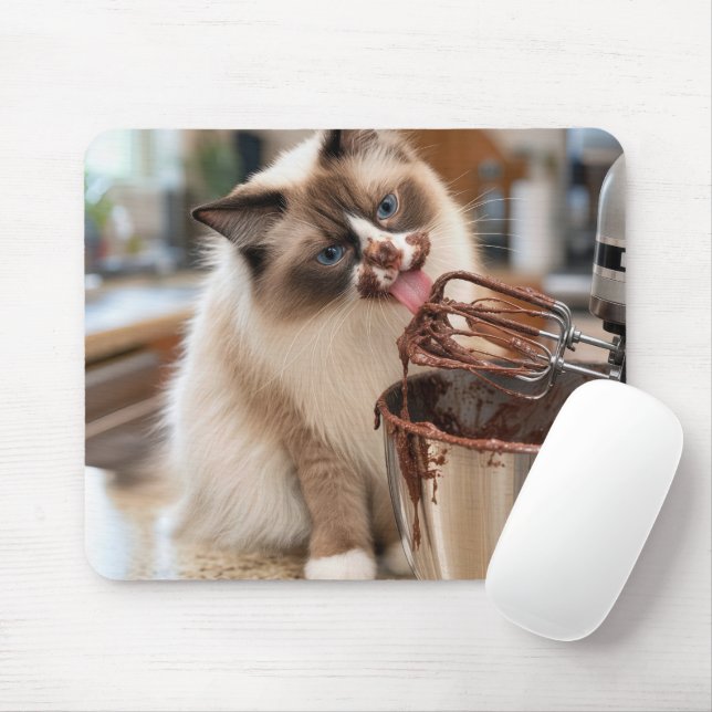Ragdoll Katt slickar Mixer visp Musmatta (Med mus)