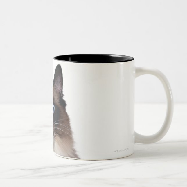 Ragdoll katt Två-Tonad mugg (Höger)