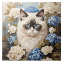 Ragdoll-katter med blå Hydrangea-blommor