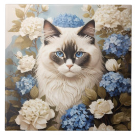 Ragdoll-katter med blå Hydrangea-blommor Kakelplatta