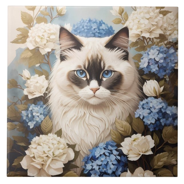 Ragdoll-katter med blå Hydrangea-blommor Kakelplatta (Framsidan)