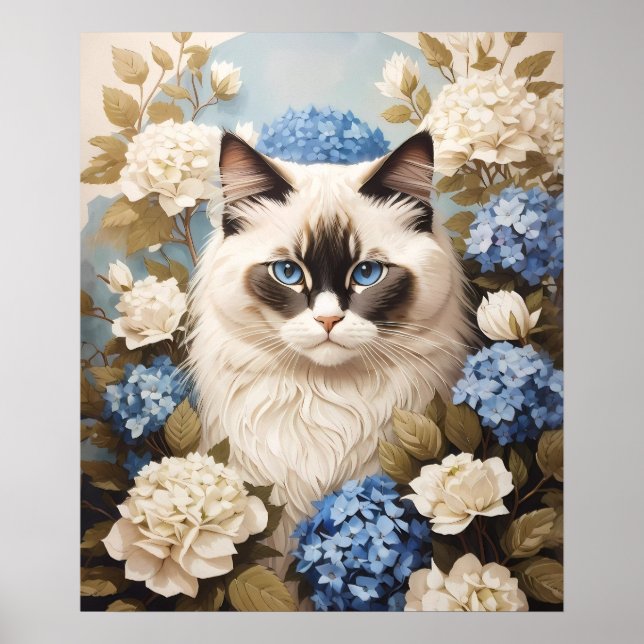 Ragdoll-katter med blå Hydrangea-blommor Poster (Framsidan)